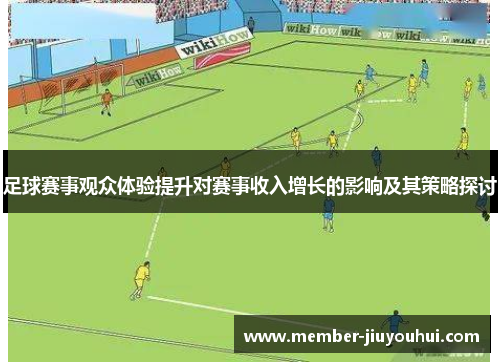 足球赛事观众体验提升对赛事收入增长的影响及其策略探讨